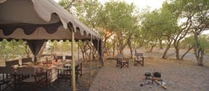 Savute Under Canvas Guest Area