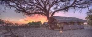 Savute Under Canvas Tent