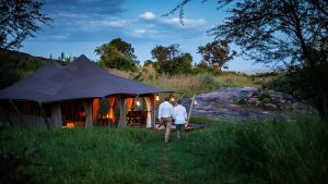 Serengeti Pioneer Camp Tent Exterior