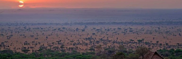 Serengeti Pioneer Camp View