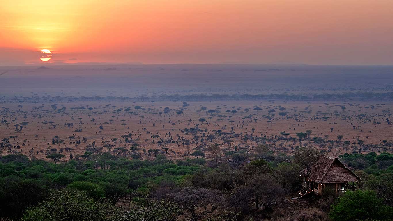 Serengeti Pioneer Camp View
