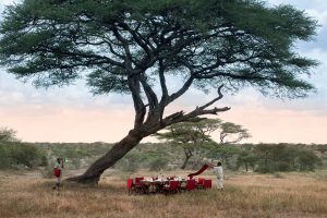 Serengeti Under Canvas Bush Dinner