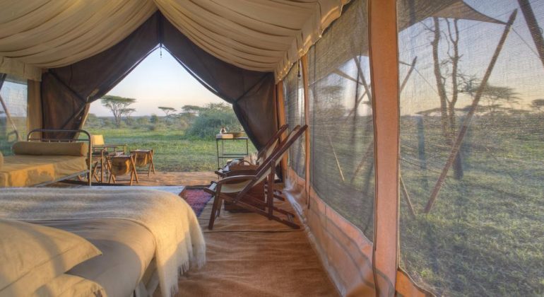Serengeti Under Canvas Rooms