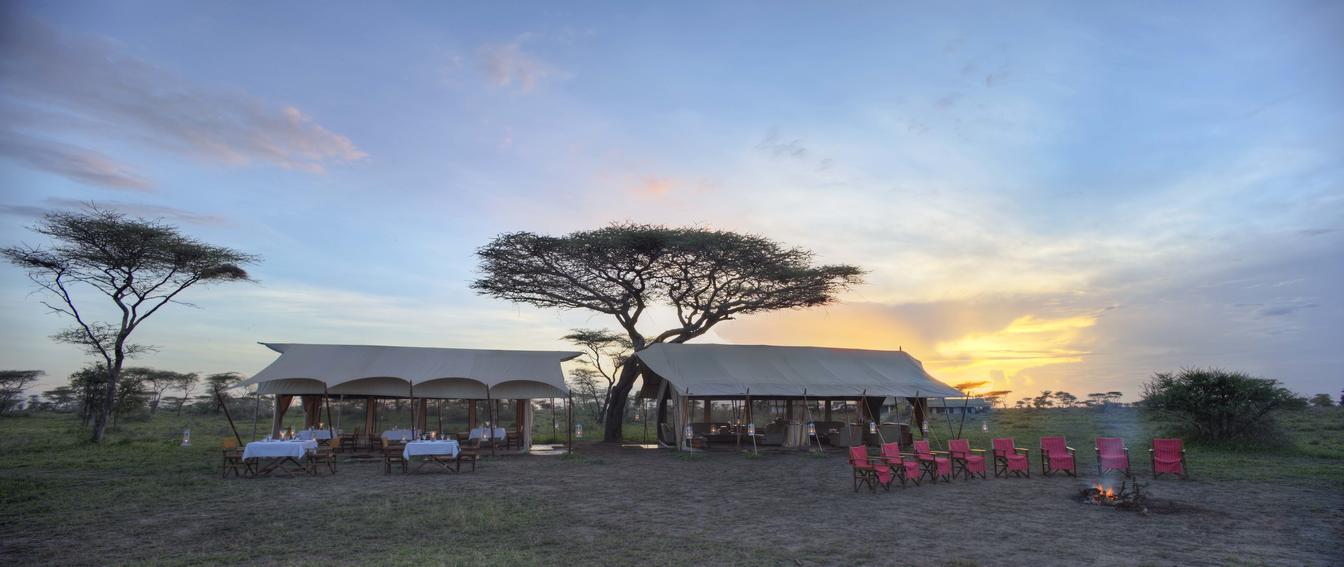 Serengeti Under Canvas View