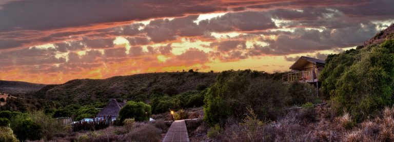 Amakhala Hillsnek Safari Camp View