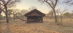 Chobe Under Canvas Safari Tent