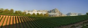 Delaire Graff Estate Vineyards