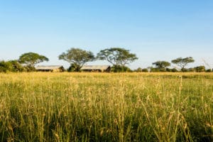 Explore Mobile Tented Camp View