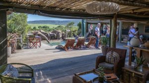 Hillsnek Safari Camp Elephants At Pool