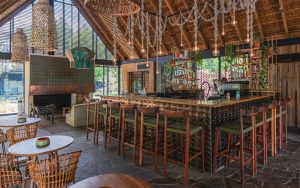 Lion Sands River Lodge Bar