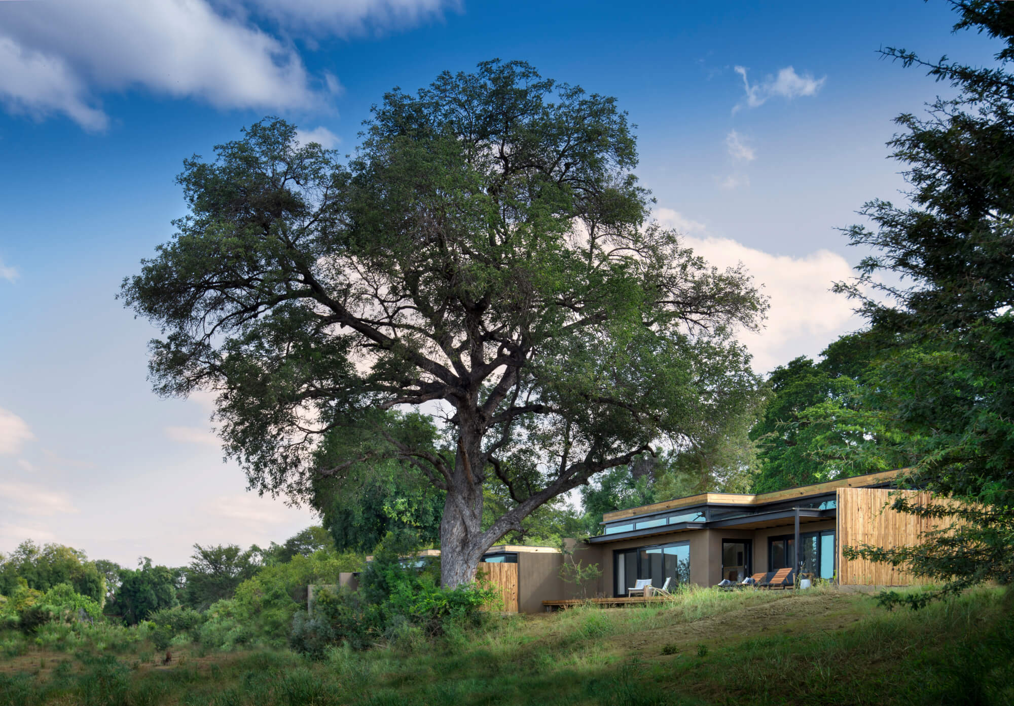 Lion Sands River Lodge Suite