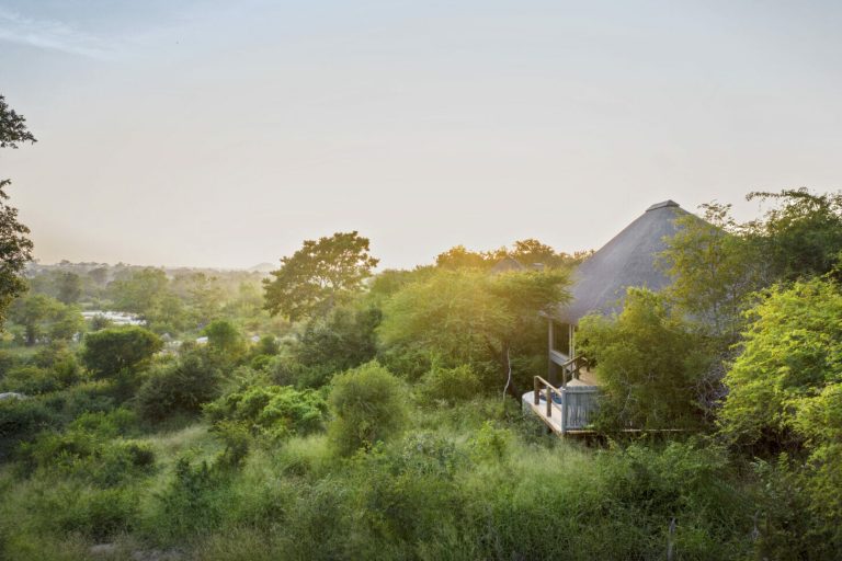 Londolozi Pioneer Camp View