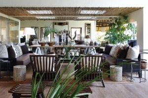 Londolozi Tree Camp Lounge