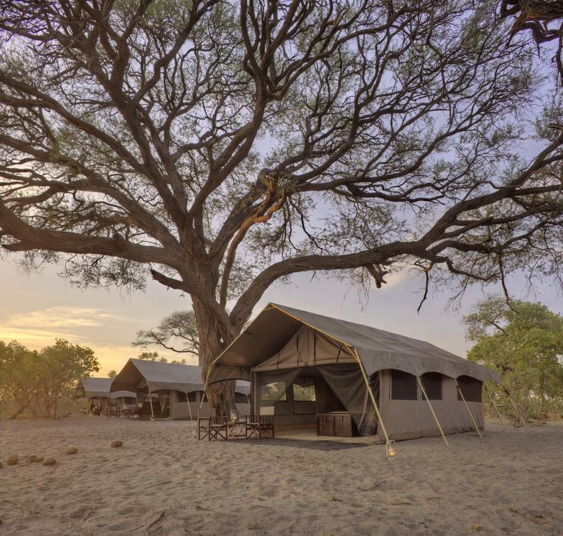 Savute Under Campus Tents