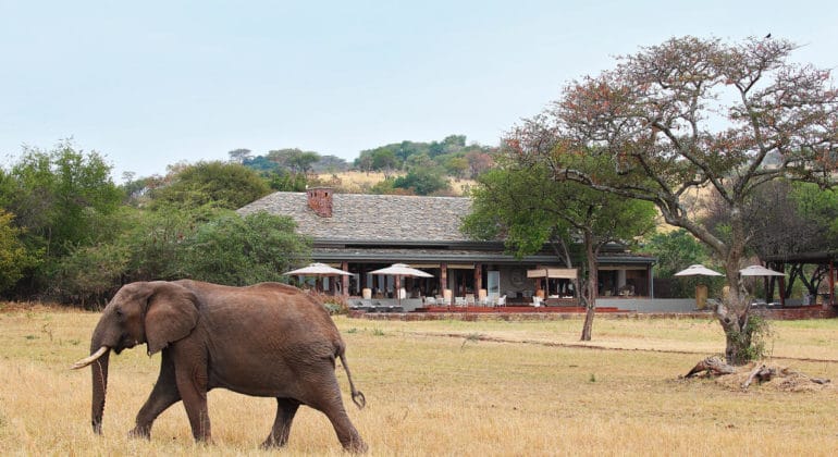 Serengeti House View
