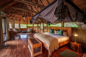 Bilimungwe Room