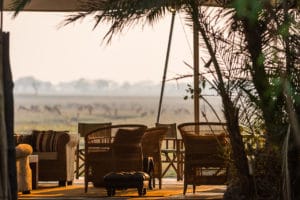 Busanga Bush Camp Outdoor Sitting