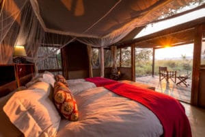 Busanga Bush Camp Tent