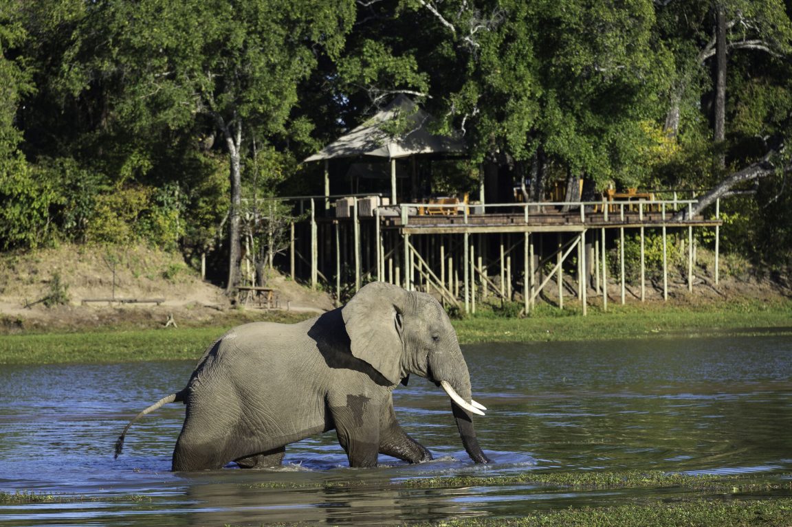 Chindeni Bushcamp View
