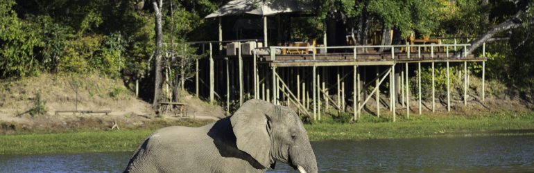 Chindeni Bushcamp View