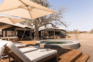 Desert Rhino Camp Pool