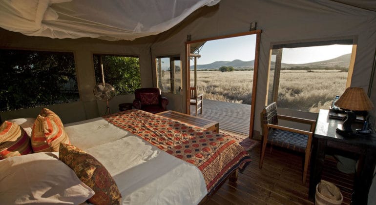 Desert Rhino Camp Room