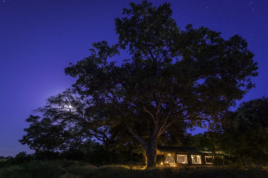 John's Camp View