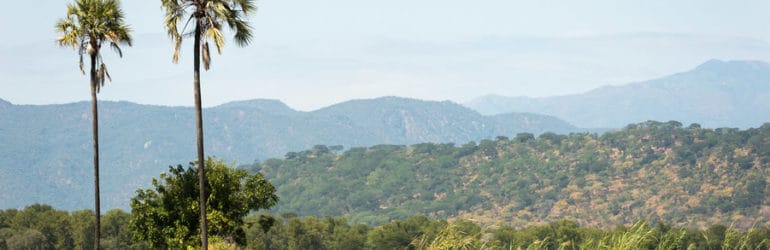 Kuthengo Camp View