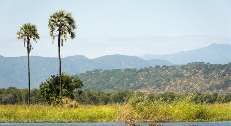 Kuthengo Camp View