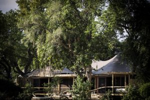 Little Mombo Camp Accommodation View