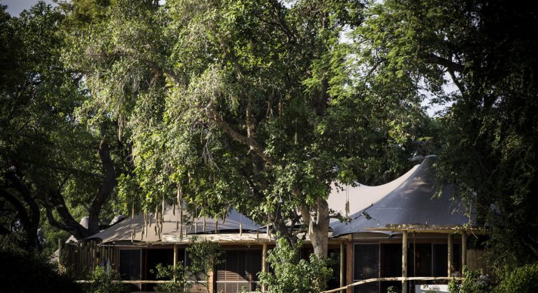 Little Mombo Camp Accommodation View