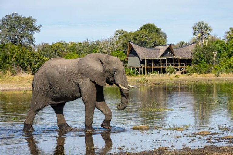 Little Tubu, Okavango Delta, Botswana