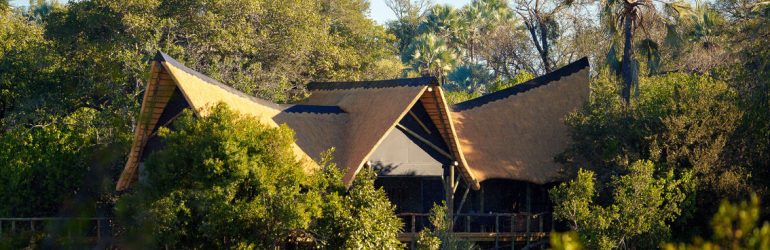 Little Tubu View