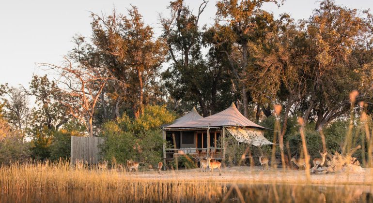 Little Vumbura Tent