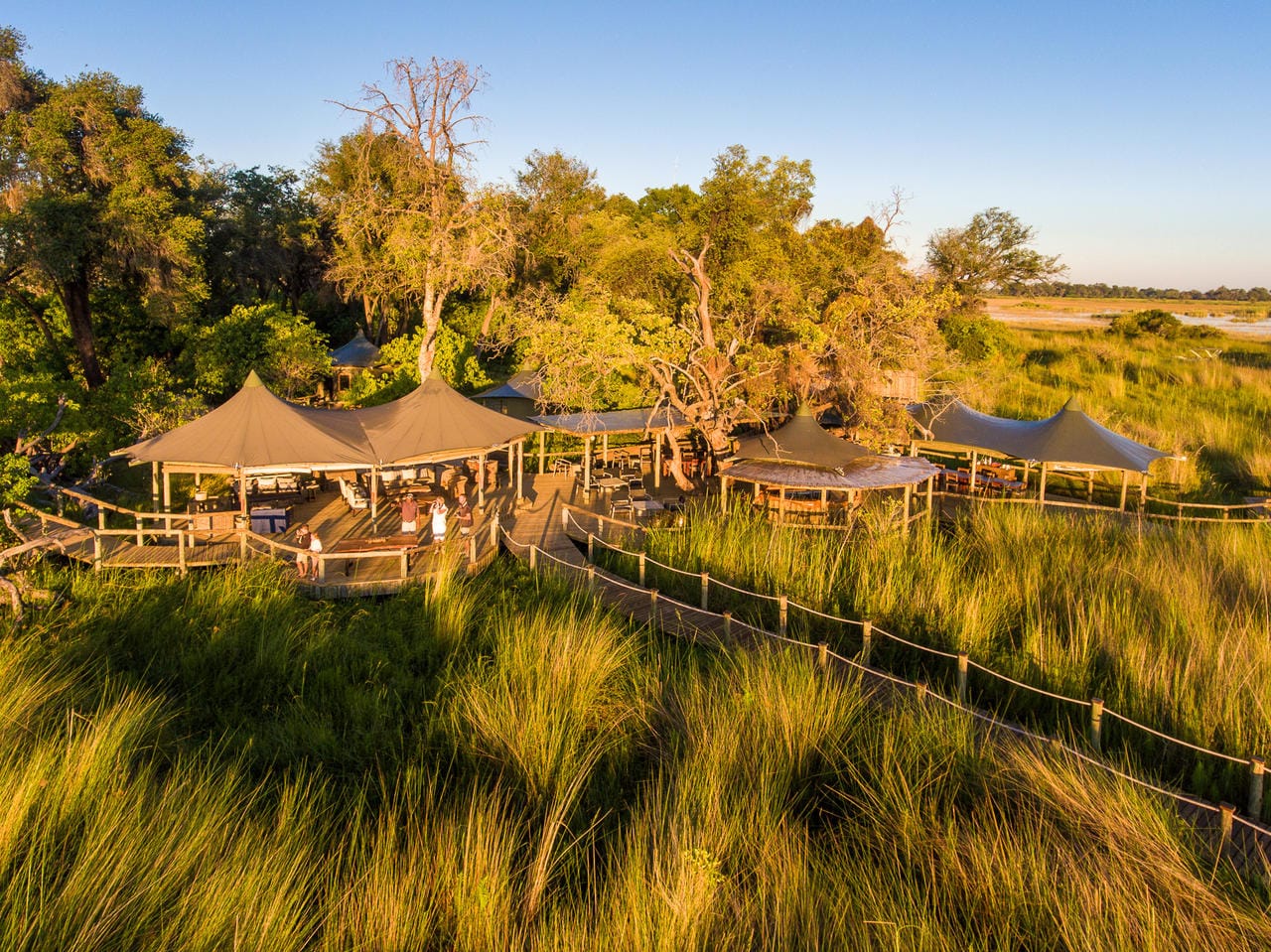 wilderness safaris botswana camps