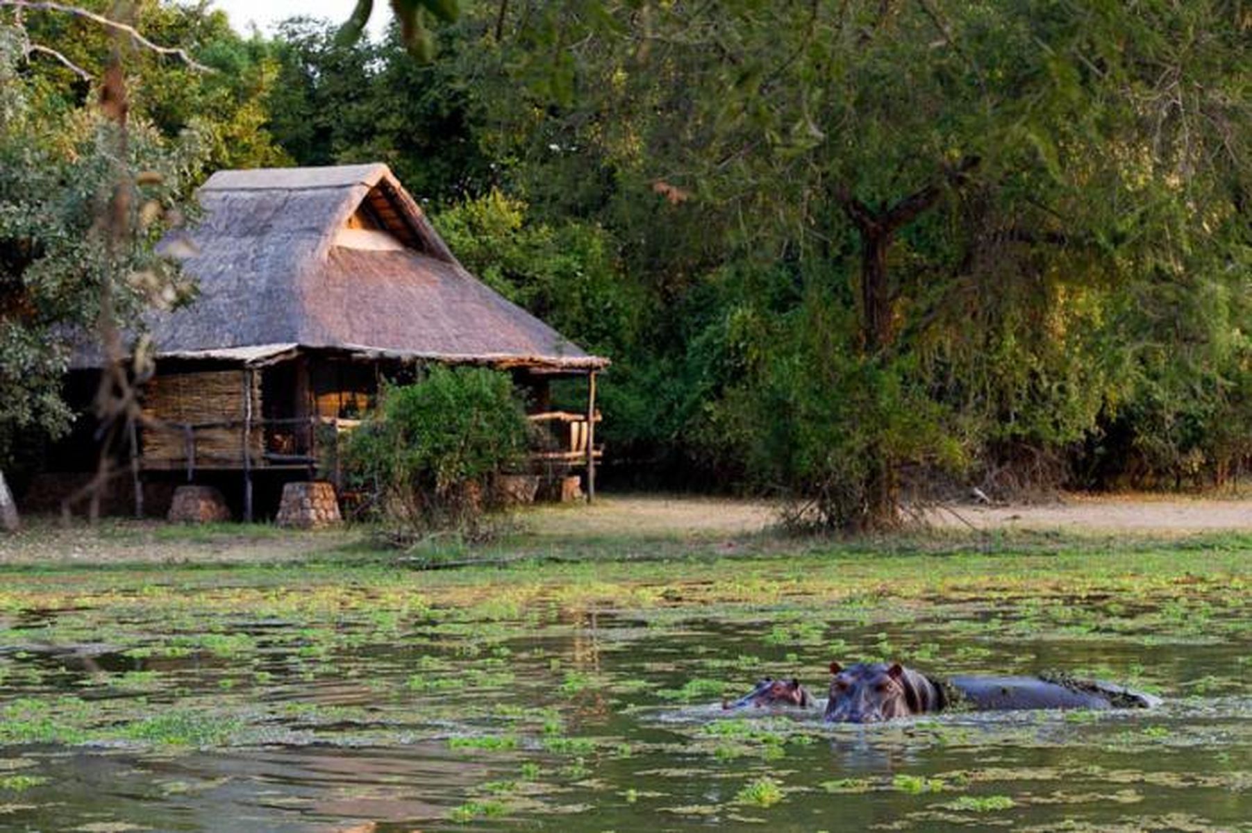 Mfuwe Lodge, South Luangwa National Park, Zambia