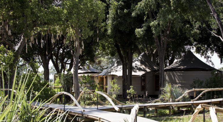 Mombo Camp Walkways