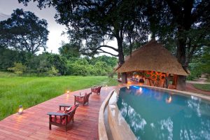 Nkwali Camp Pool