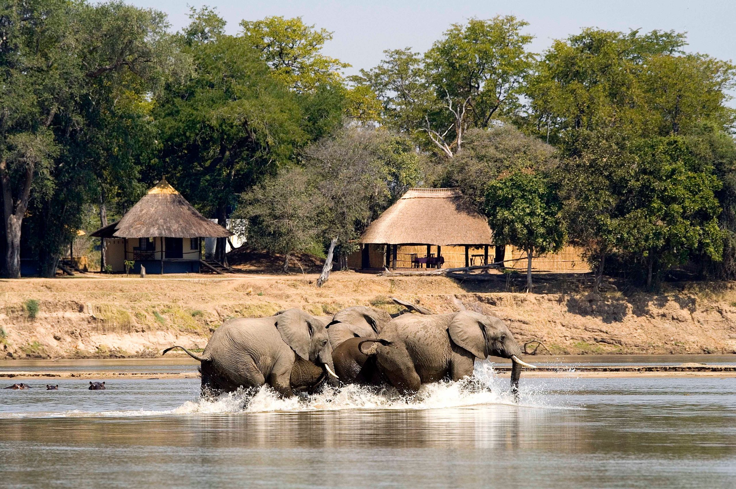 Nsefu Camp View