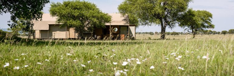 Singita Sabora Tented Camp Outdoors