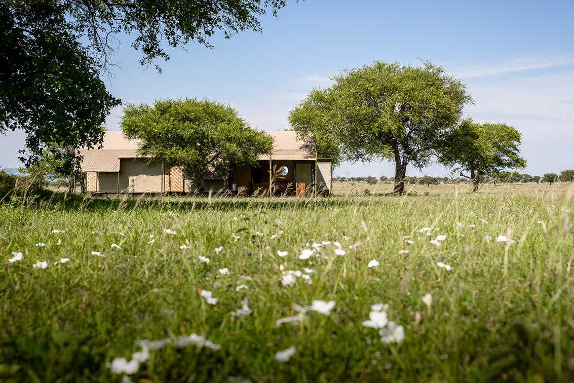 Singita Sabora Tented Camp Outdoors