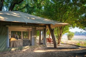 Tena Tena Tent