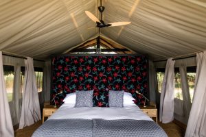 Time + Tide Chongwe Camp Tents