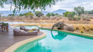 Time + Tide Chongwe House Elephants By The Camp