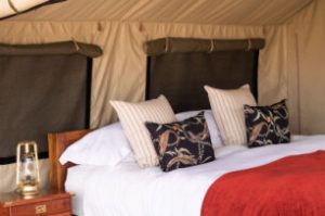 Time + Tide Luwi Tent Interior