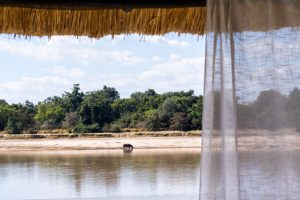 Time + Tide Mchenja View From Room