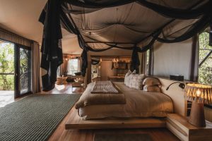 Tubu Tree Tent