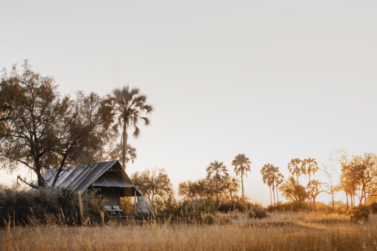 Wilderness Chitabe Lediba Tent