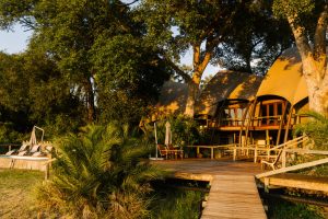 Wilderness Jacana Deck