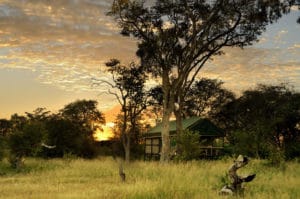 Bomani Tented Lodge Tent Exterior
